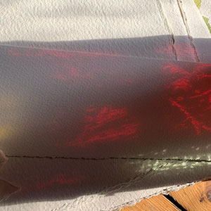 inspirational images - Tess Cooling new work